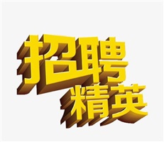 業(yè)務精英